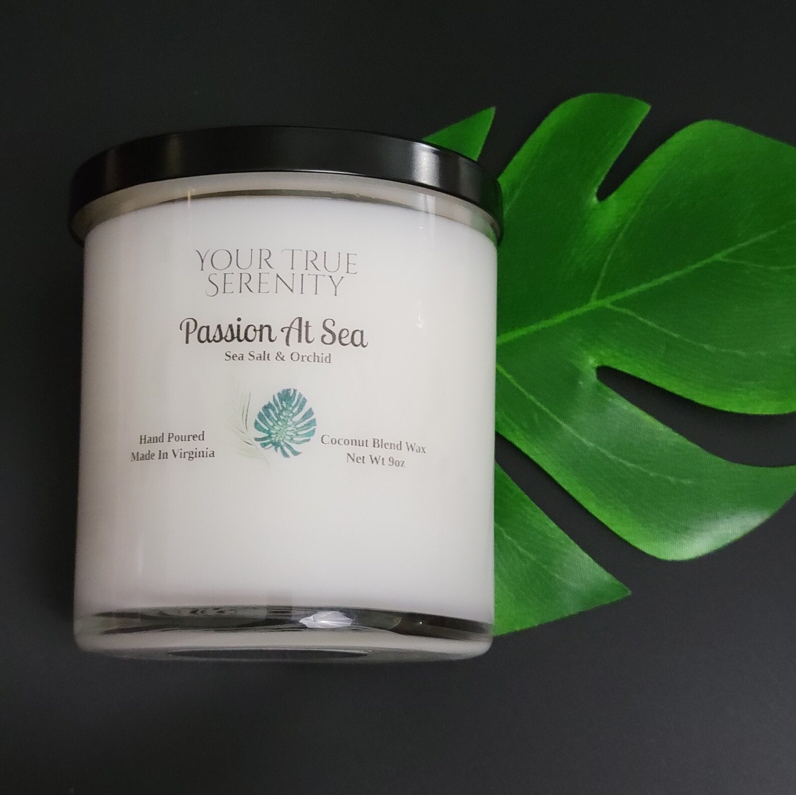 Santal & Coconut Scented Candle 9 Ounce Scented Candle Wood Etsy