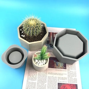 Peut inclure: Trois moules à poterie en béton gris, deux octogonaux et un rond, avec une petite plante succulente dans l'un des moules octogonaux. Les moules sont sur un fond de journal.