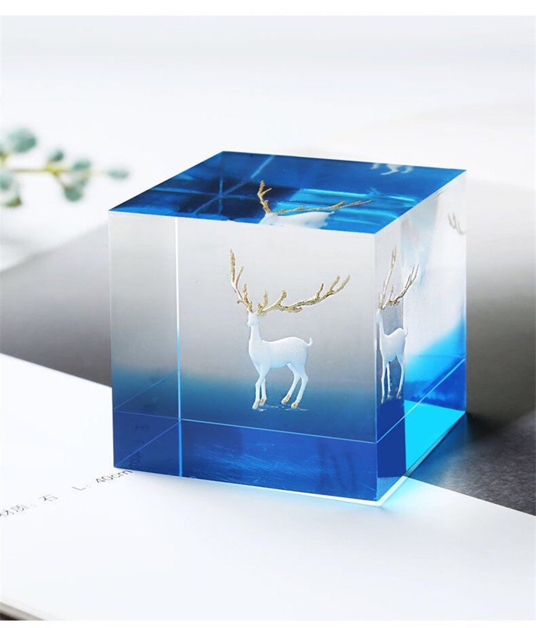 Specimen Box Molds 3.15