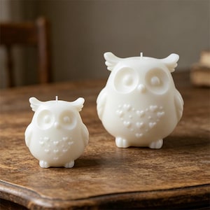 May include: Two ivory-colored owl-shaped candles. The candles have large eyes, small wings, and a heart-shaped pattern on the chest. The candles are on a wooden surface.