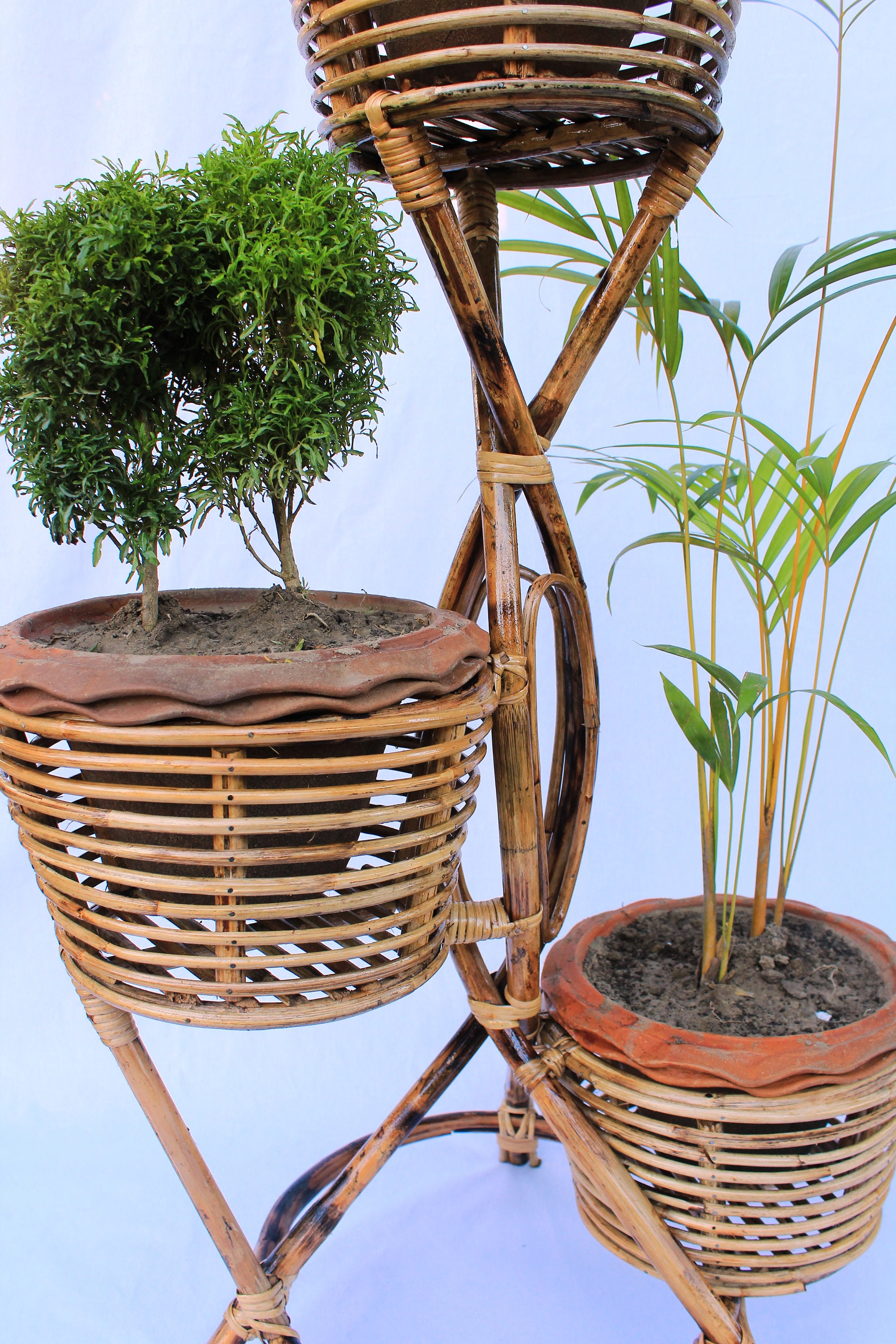 Handcrafted Cane Rattan Wicker Plant Stand Vases Planters for Etsy