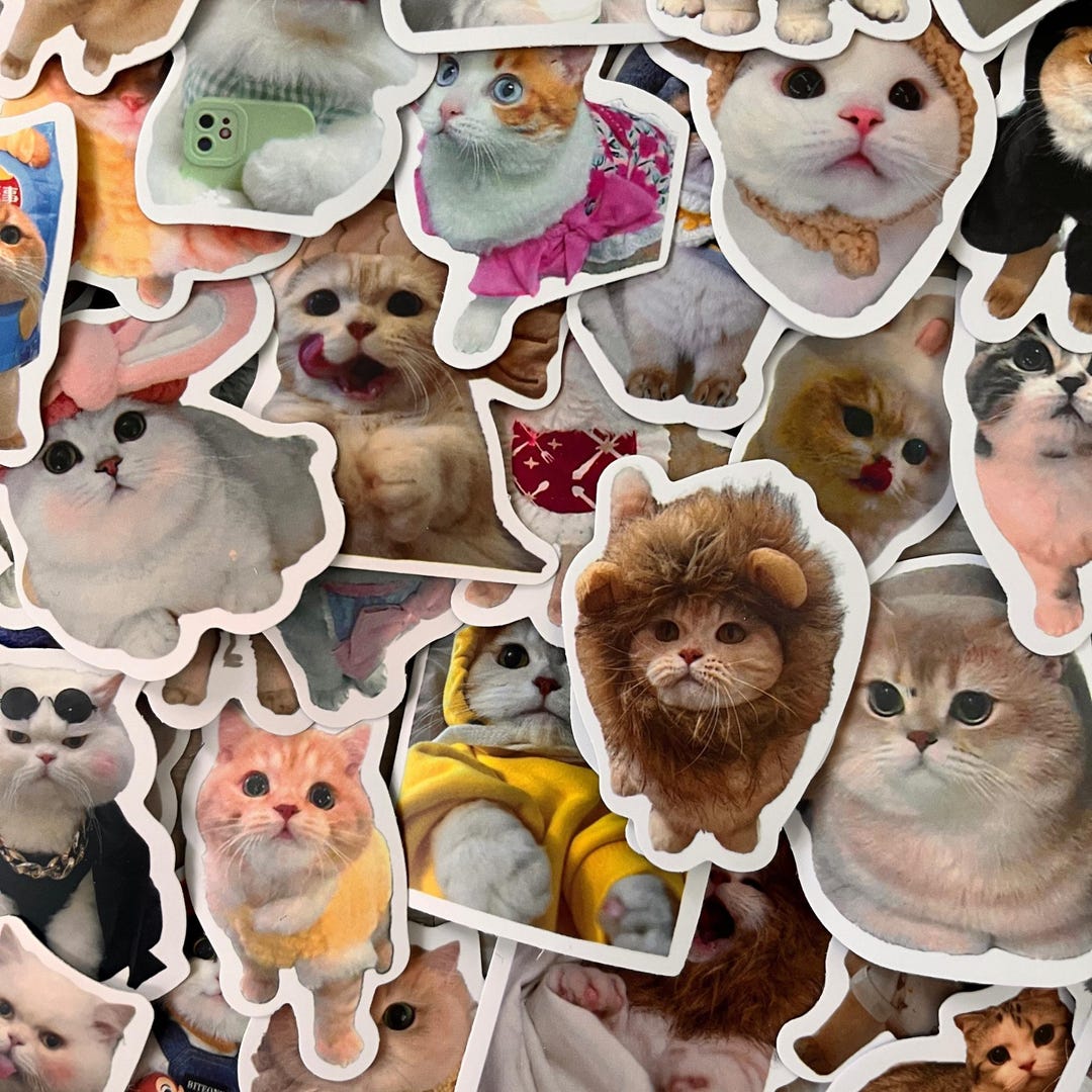 Cute Cat Stickers Random - Funny Cat Sticker Pack (10) - Waterproof Cat ...