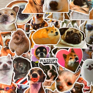 Dog Stickers Random Pack - Funny Meme Dogs Stickers - Waterproof Laptop & Skateboard Dog Stickers - Decals - Random Pack Of 10 Stickers