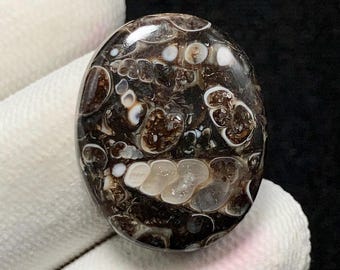 Fossil Turritella (Elimia) Agate, Oval Cabochon, 23x19x6 MM, 22 CTS, Beautiful Cabochon, #12729