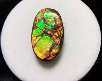 Cabochon D'ammolite Libre Forme - Pierre Naturelle Butw AA, Référence 1443A, Neuf Avec étiquette
