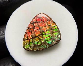 Multi Fiery Dragon Skin Ammolite, Freeform  Cabochon, 19x16x4 MM, 14 CTS, Beautiful Cabochon,#17958