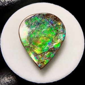 Multi Fiery Dragon Skin Ammolite , Pear Cabochon, 23x19x4 MM, 19 CTS, Beautiful Cabochon,#17983