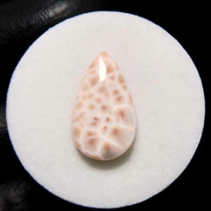 Può includere: Una gemma a forma di goccia, con una combinazione di colori rosa chiaro e crema. La pietra presenta un motivo unico di forme irregolari interconnesse, creando un aspetto strutturato. È posta su uno sfondo bianco circolare.