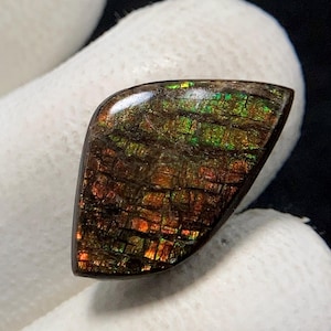 Dragon Skin Ammolite, Freeform Cabochon, 21x13x5 MM, 12 CTS, Beautiful Cabochon,#16118