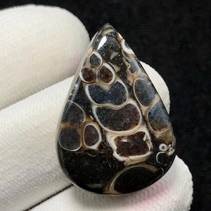 Turritella Agate, Pear Cabochon, 29x21x6 MM, 27 CTS, Beautiful Cabochon, #12735