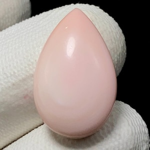 Naturalna muszla ślimaka morskiego, kaboszon gruszkowy, 23x15x7 mm, 20 szt., piękny kaboszon, #15907