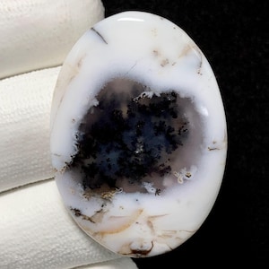 Puede incluir: Gema ovalada pulida con base blanca y un patrón oscuro central que recuerda a un árbol. La piedra presenta inclusiones negras, grises y marrones. La gema es una piedra natural con una superficie lisa y reflectante.