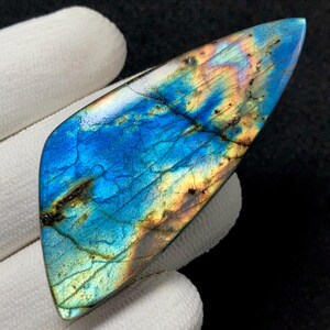 May include: A polished labradorite gemstone with a vibrant display of colors. The stone features a dominant blue hue with flashes of yellow, orange, and green. The gemstone is held in a white gloved hand, showcasing its unique shape and iridescent qualities.