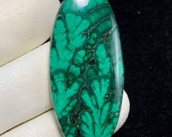 Natürliche Malachit, Oval Cabochon, 48x22x5 MM, 64 CTS, Schöne Cabochon. #10086