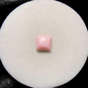 Queen Conch Shell, kussen cabochon, 7 x 7 x 4 mm, 2 CTS, prachtige cabochon, #15943