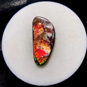 Dragon Skin Ammolite, Freeform Cabochon, 25x11x3 MM, 8 CTS, Beautiful Cabochon,#17979