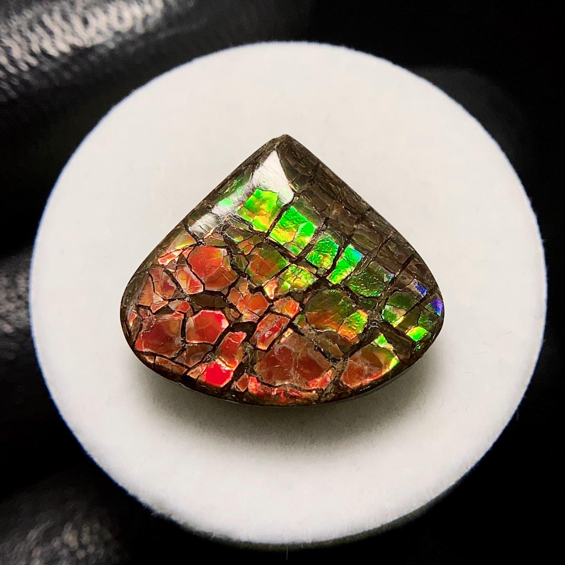 アンモライト - 標本にどうぞ お守り パワーストーン 欠片 かけら Etsy