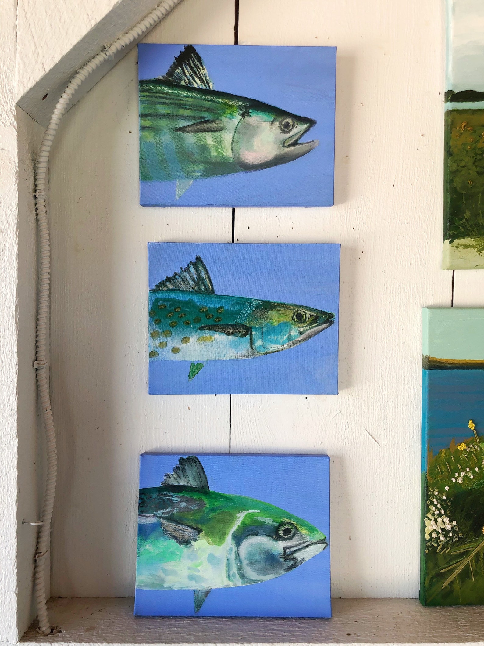 Bonito Fish Art, Fish Painting, Acrylic Painting, Fish Etsy