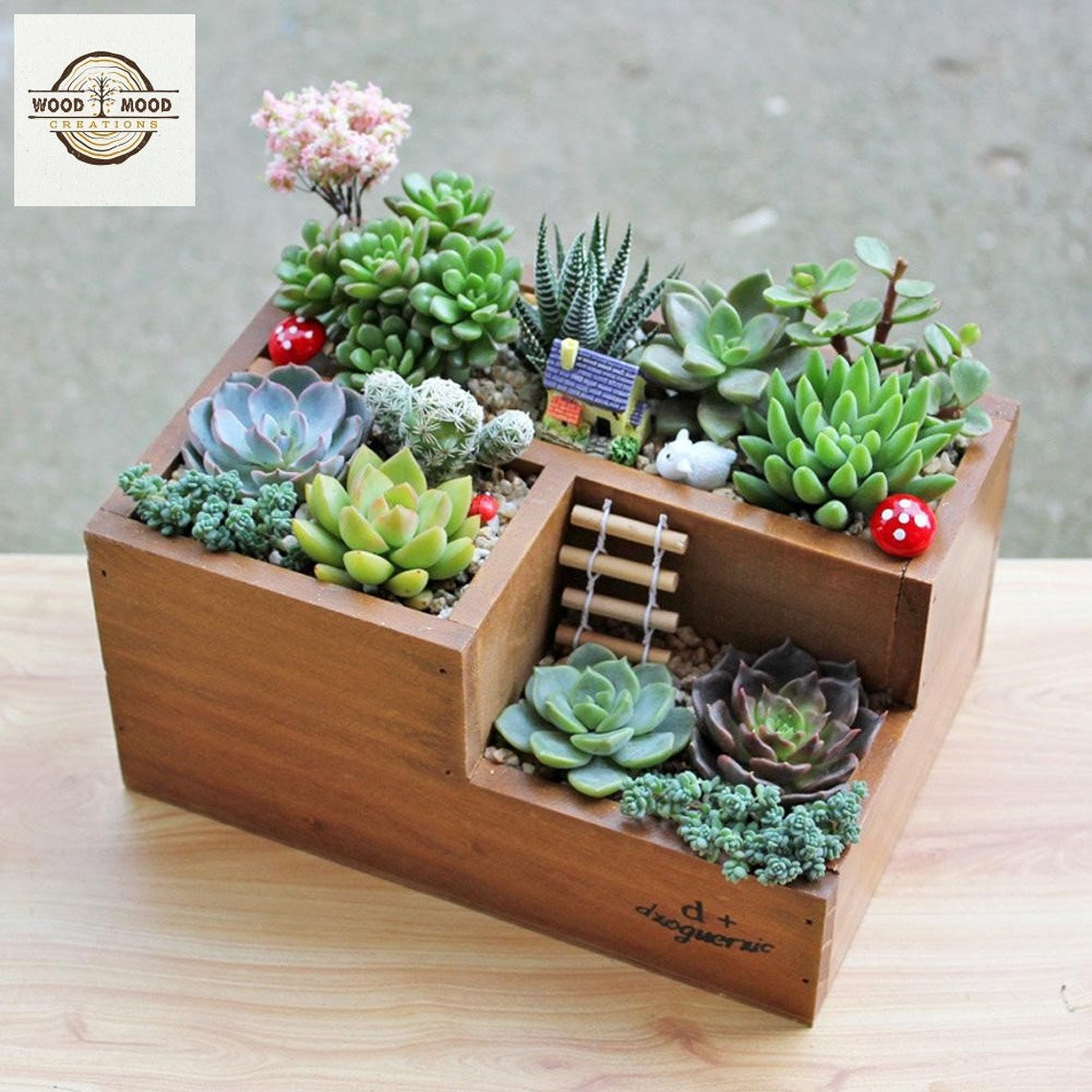 Holz Pflanzer Box für saftige Pflanzen Garten Pflanze Etsy