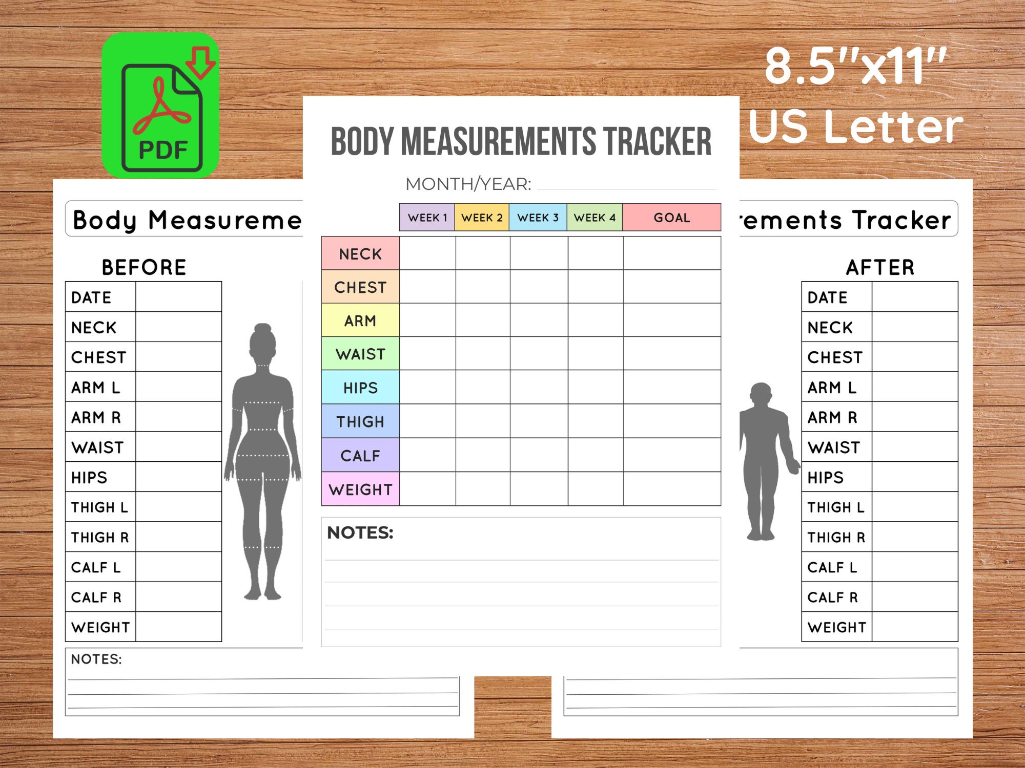 Free Women S Printable Body Measurement Chart