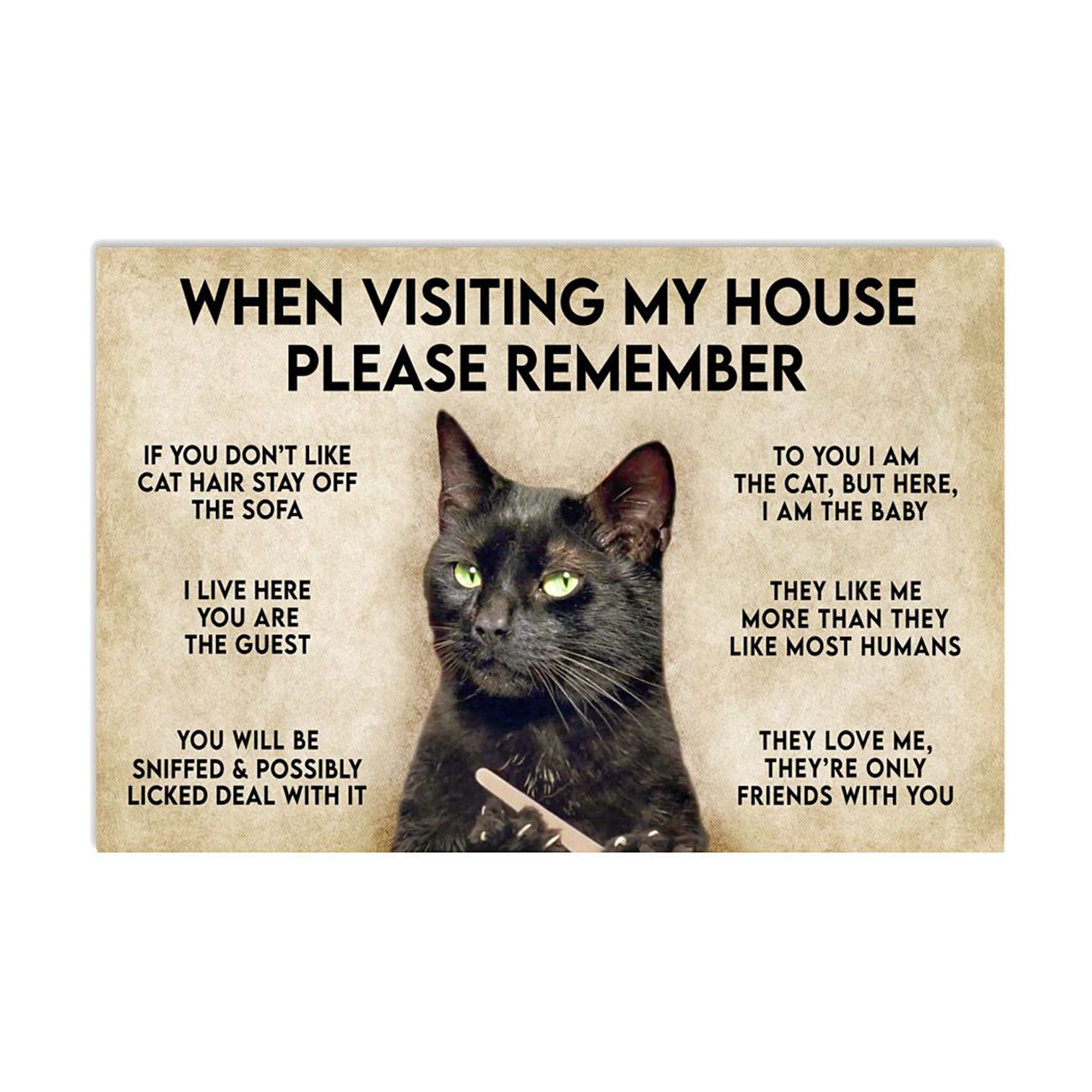 When Visiting My House Please Remember Cat Horizontal Poster Etsy