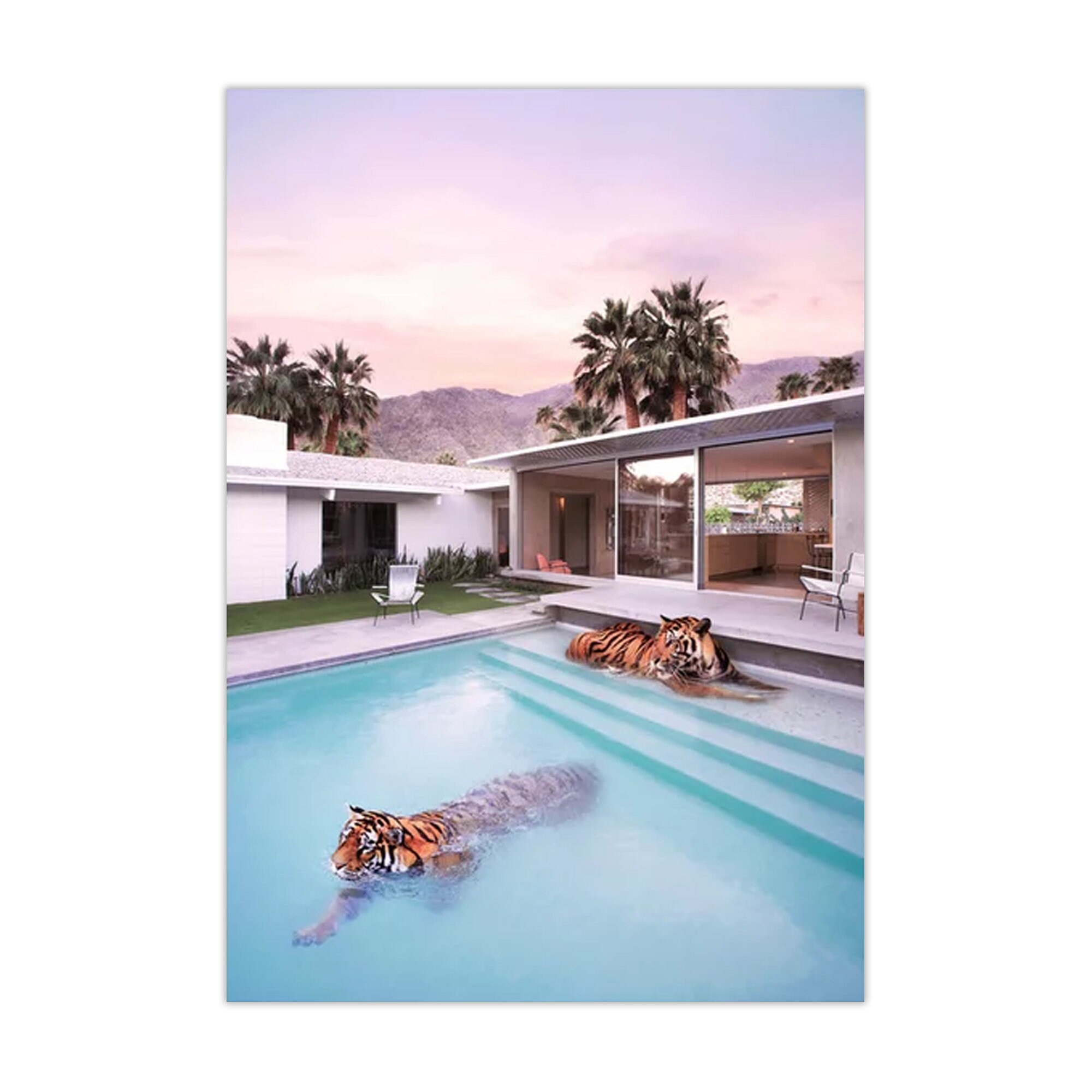 Palm Springs Tigers Wall Art Tiger on Swimming Pool Poster Etsy