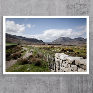 SHEEP IN MOURNES, Mourne Mountain Slieve Binnian photo, Colour Photography Print, Northern Ireland, Home Decor, Wall Art