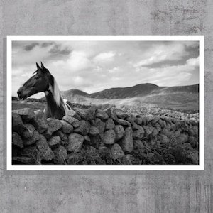 HORSE IN MOURNES, Mourne Mountains Photo, Colour Photo Print, Northern Ireland, Home Decor, Wall Art
