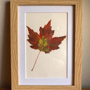 Maple Leaf, Original Watercolor