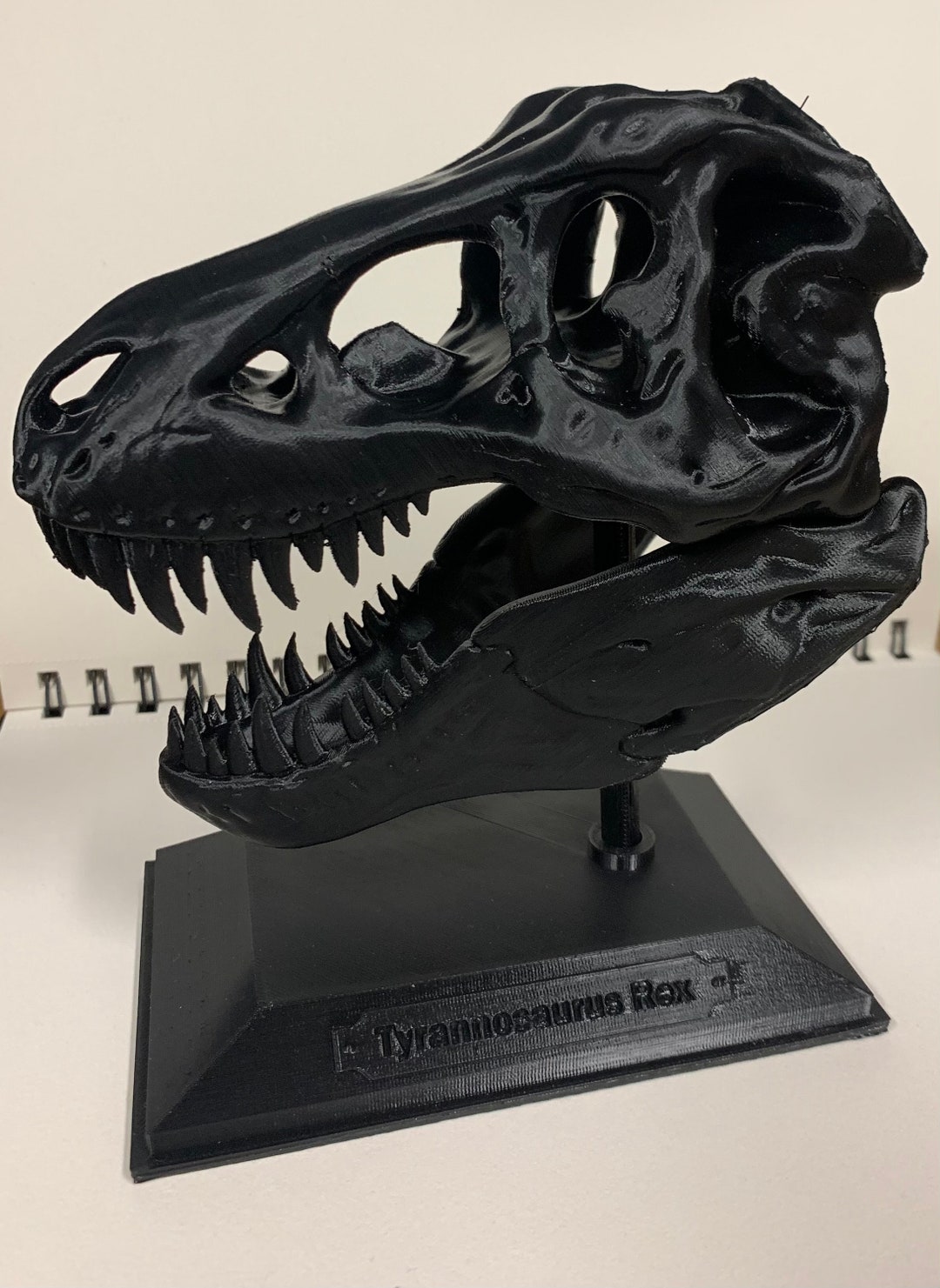 ティラノサウルスの頭蓋骨 3Dプリンター製 il_1080xN.2722729728_8zrq.jpg