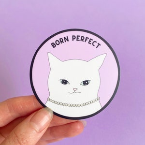 Un autocollant mignon pour les amoureux des chats Sticker autocollant imperméable Cadeau drôle pour chat Sticker maman Sticker violet Sticker chat blanc