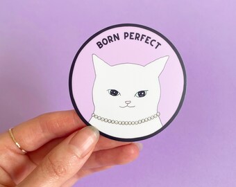 Cute & Motivational Sticker on Self-love for Cat Lovers. Waterproof and dishwasher Safe.
