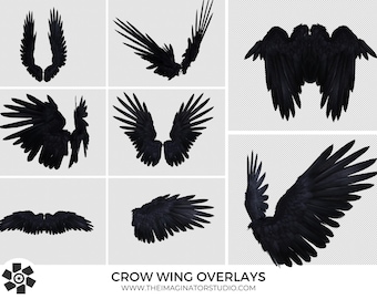 Crow Wing Overlays | Black Wings | Photoshop | Photography | Raven Wings | Wing Overlays | Overlays | Portrait | Boudoir | PNG | Clipart