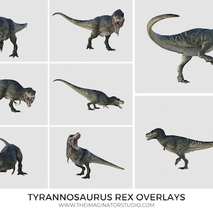 T-Rex Dino Overlays | Tyrannosaurus Rex Overlays | Photography | Photoshop | Dinosaur Overlays | Clipart | PNG | Overlays | Dinosaurs