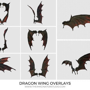 Dragon Wing Overlays | Digital Wing Overlays | Photoshop Overlays | Wing PNG | Wing Overlays | Digital Background | Fantasy Art | Wing | Bat