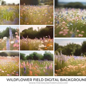 wildflower field background | digital background | digital backdrop | fine art texture | flower field | photography | photoshop | flowers