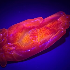 May include: A hand-shaped dish made of resin with a rose design on one end. The dish is a vibrant orange and pink color and glows under a black light.