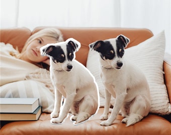 Benutzerdefinierte Haustierkissen, geformtes Kissen, Hundewurfkissen, 3D-Fotokissen, personalisiertes Haustierkissen, doppelt gedrucktes Baumwollhundekissen