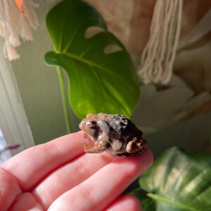 Toad plant pal - Frog figurine/Plant buddy