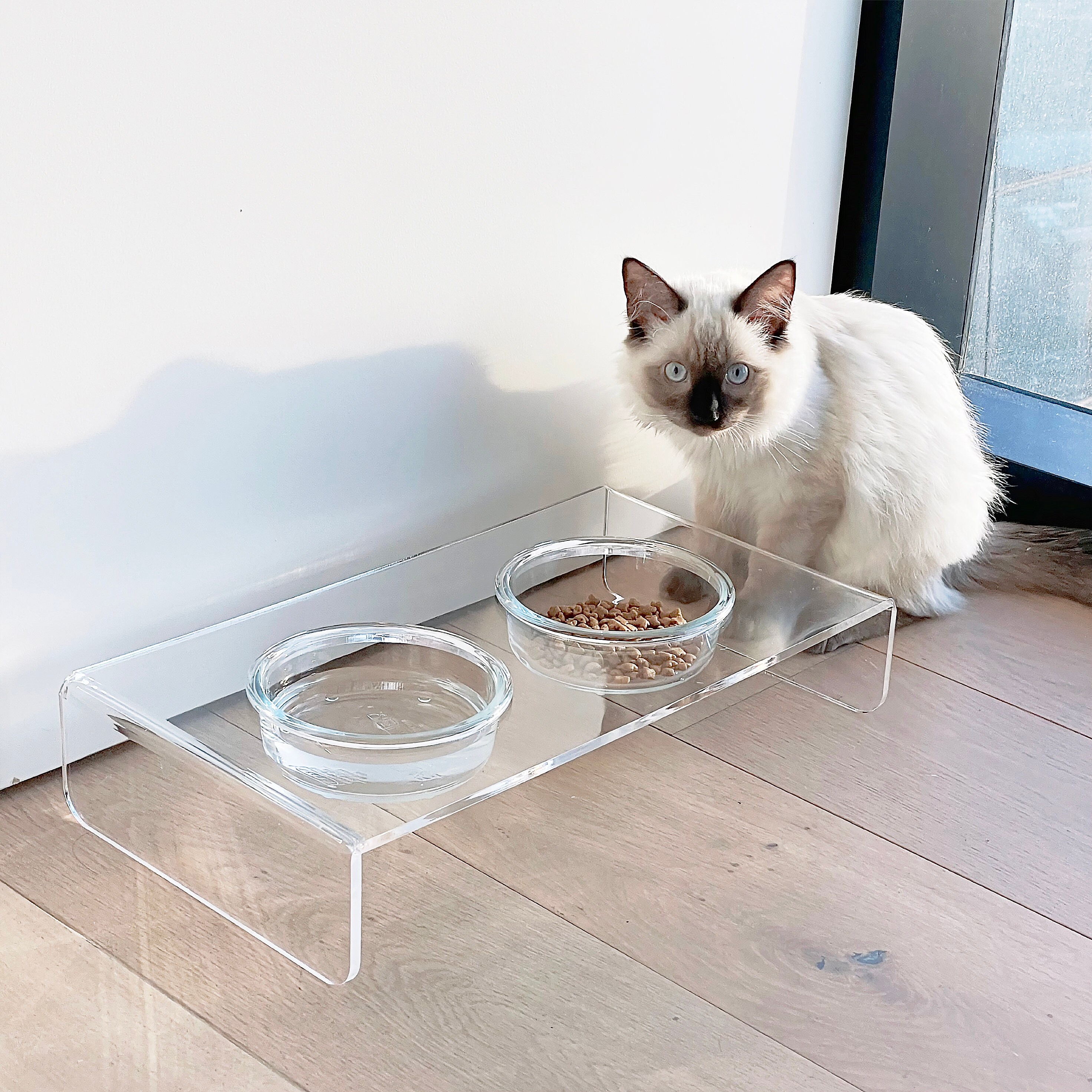 Clear Cat Food Bowls and Stand Contenedor de comida para Etsy