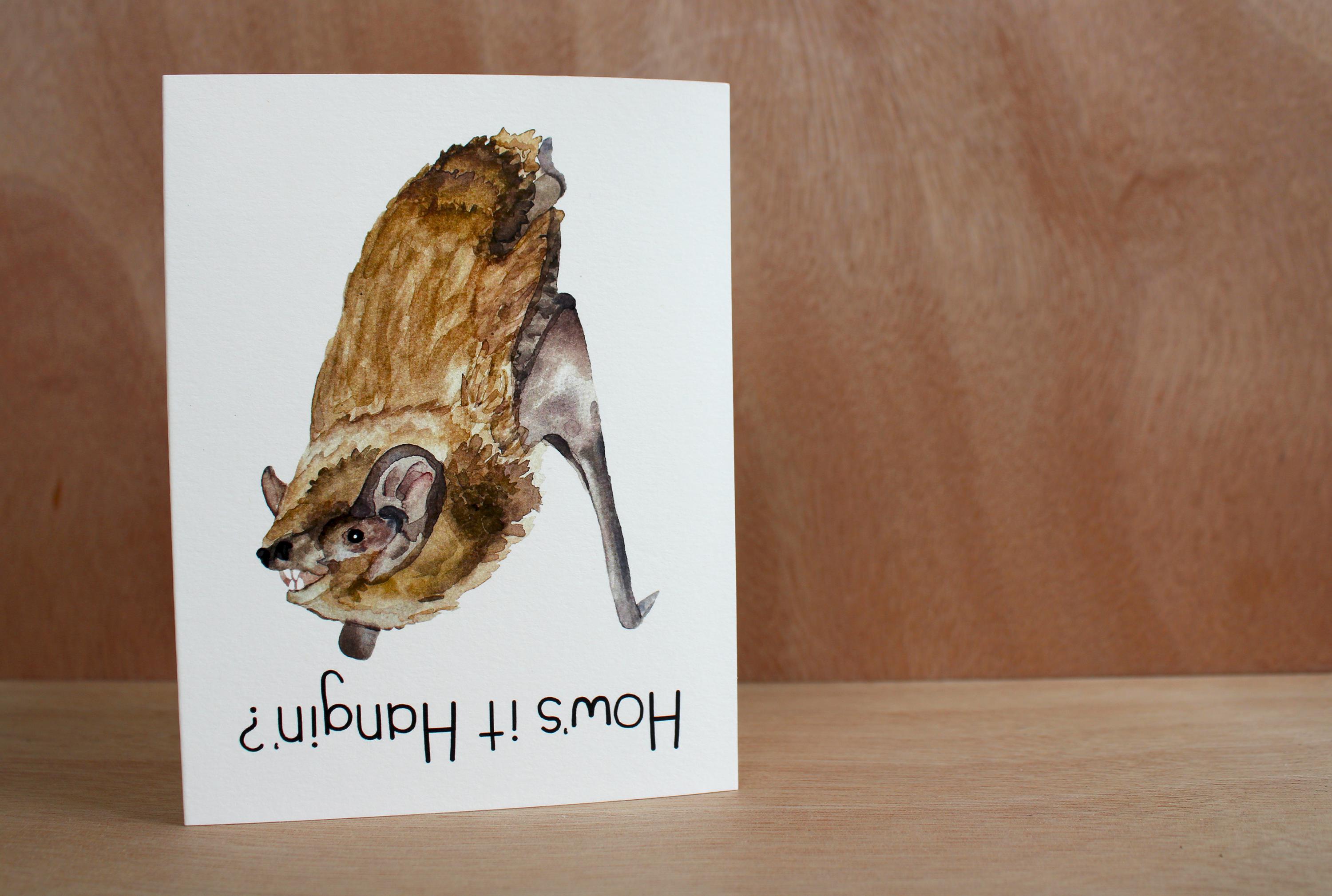 Buy Myotis Online In India India