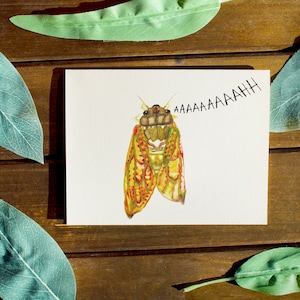 Cicada Scream - Tarjeta de cartulina de insectos ecológica