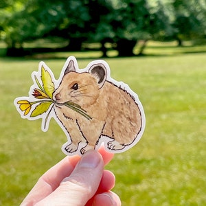 Pika Boquete -- Pequeno Adesivo Bonito Flores Pika Americanas