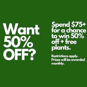 以下が含まれることがあります： 緑色の背景に白い文字。「Want 50% OFF?」と「$75以上お買い上げで50%オフ+無料植物をゲットするチャンス」と書かれています。追加のテキストには「制限事項が適用されます。賞品は毎月授与されます。」と書かれています。