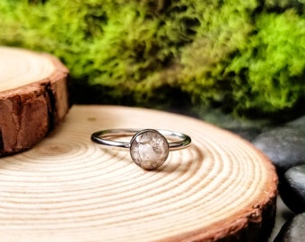 dogs ashes into ring