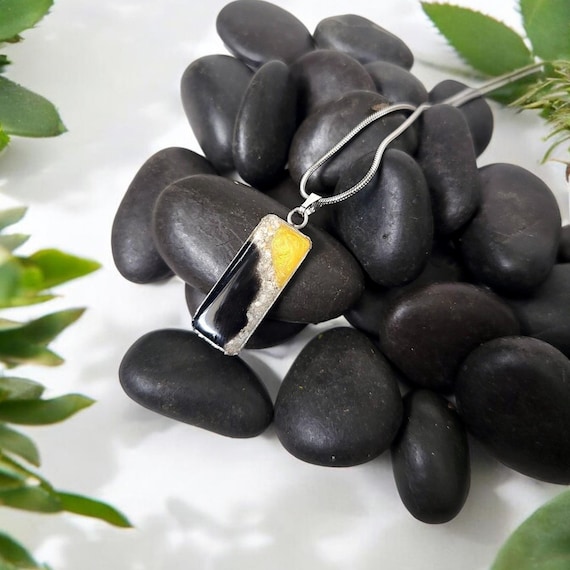 25mm Cremains Pet Memorial Necklace: Stainless Steel Ashes Jewelry