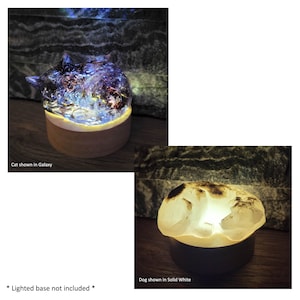 Custom Cremains Cat Memorial Figurine: Cremation Ashes Resin Keepsake Dog Cremation Figure bild 11