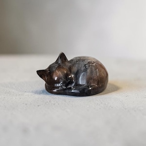 Custom Cremains Cat Memorial Figurine: Cremation Ashes Resin Keepsake Dog Cremation Figure bild 5