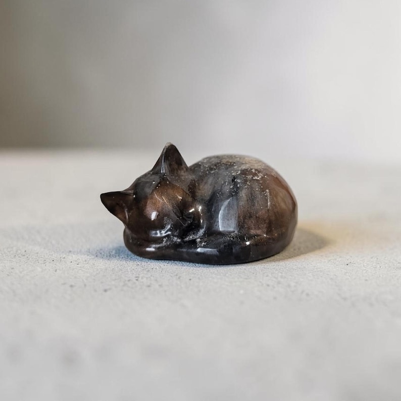 Custom Cremains Cat Memorial Figurine: Cremation Ashes Resin Keepsake Dog Cremation Figure bild 5