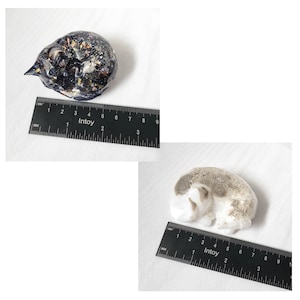 Custom Cremains Cat Memorial Figurine: Cremation Ashes Resin Keepsake Dog Cremation Figure bild 12